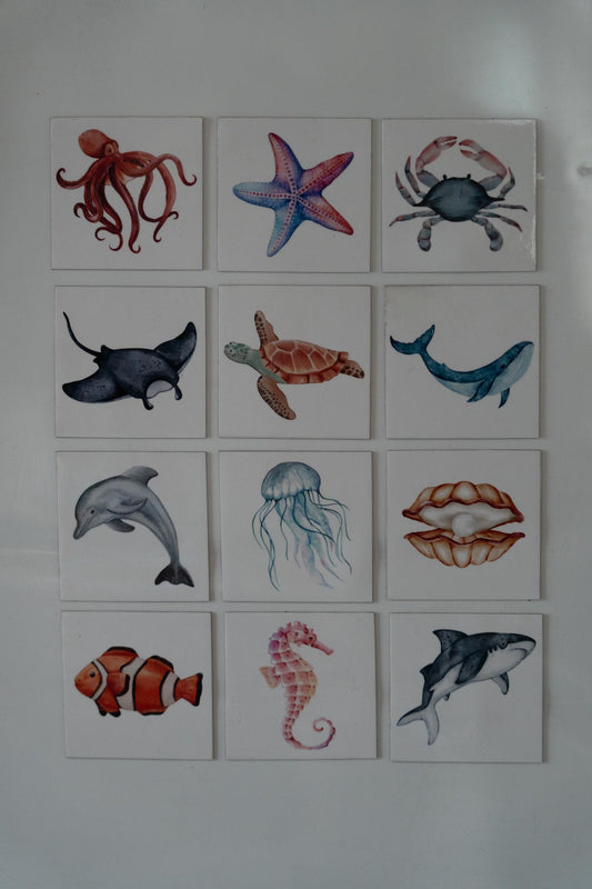 12 Pack Wildlife Magnets