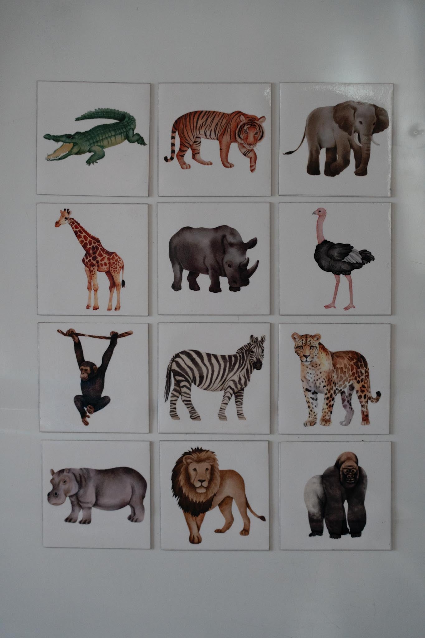 12 Pack Wildlife Magnets