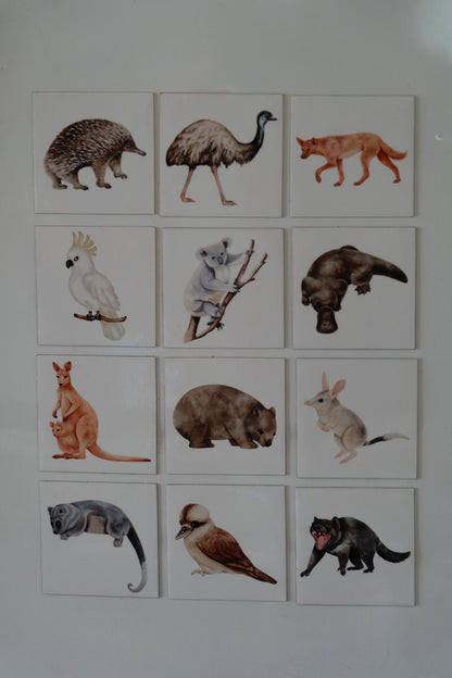 12 Pack Wildlife Magnets