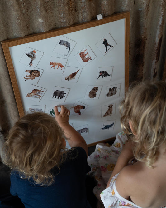 Wildlife Magnets Full Collection