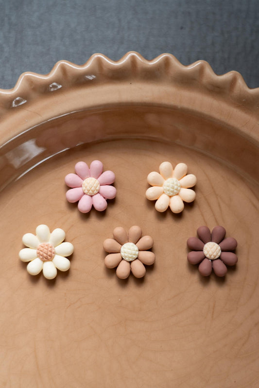 5 piece neutral flower magnets