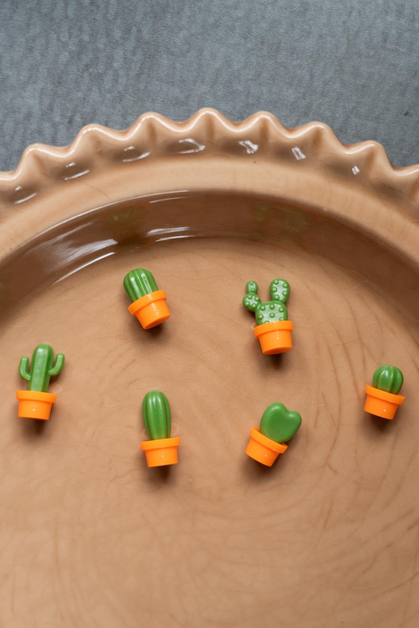 6 piece mini cactus magnets