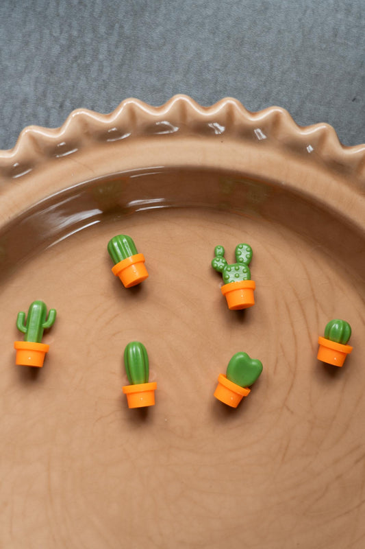 6 piece mini cactus magnets